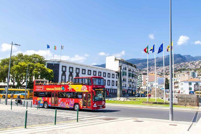 City Sightseeing Funchal Hop-On Hop-Off Bus Tour - A Closer Look at the Experience