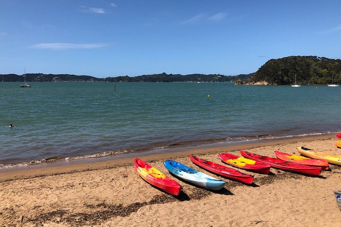 City to City Transfers (Auckland - Whangarei , Paihia ) - Accessibility Features