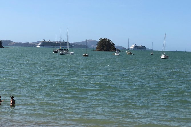 City to City Transfers (Auckland - Whangarei , Paihia ) - Pricing and Group Size