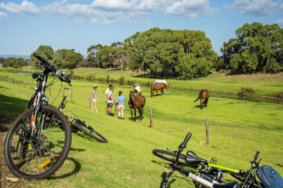 City to Sea Adelaide Bike Tour - Meeting Point