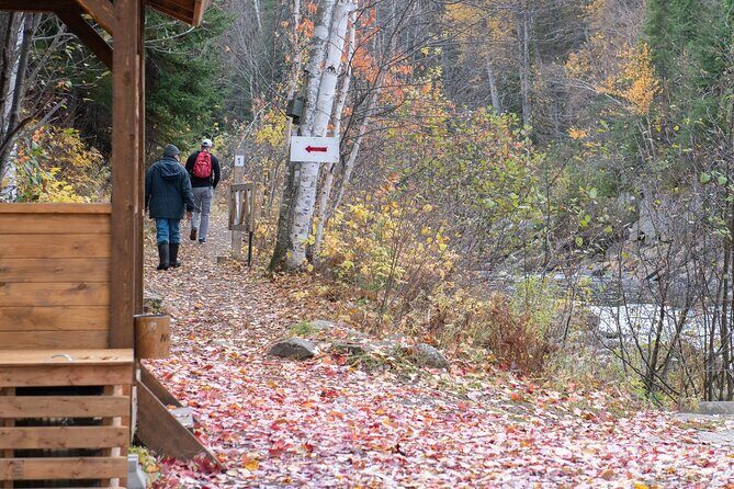 City tour and hiking to the Canyon and Waterfall in the Park - Who Will Love This Tour?