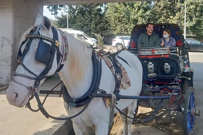 City Tour by Horse Carriage and Sailing Felucca From Cairo/Giza Hotels - Inclusions of the Tour