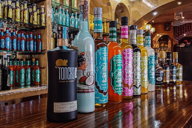 City Tour, Cultural Experience at Cancun! Private Transportation - Why This Tour Works Well for Different Travelers