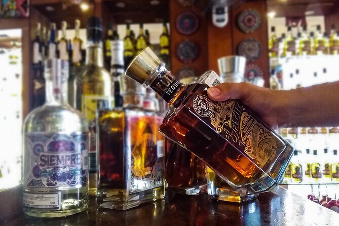 City Tour, Cultural Experience at Cancun! Private Transportation - Final Thoughts