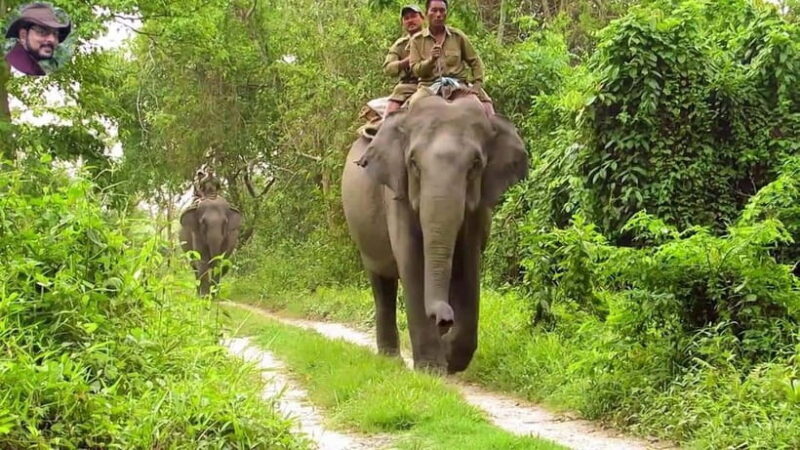 City Tour: Discover Aluthgama with Thrilling Adventures - Key Points