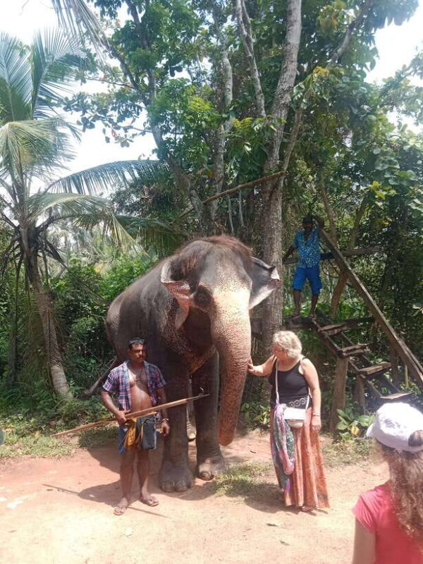 City Tour: Discover Aluthgama with Thrilling Adventures - The Authentic Local Experience