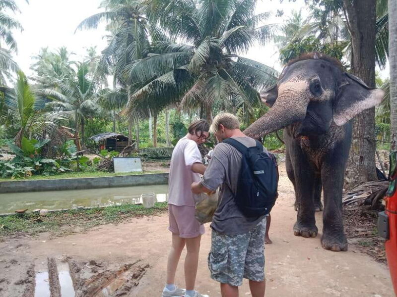 City Tour: Discover Aluthgama with Thrilling Adventures - Who This Tour Is Best For