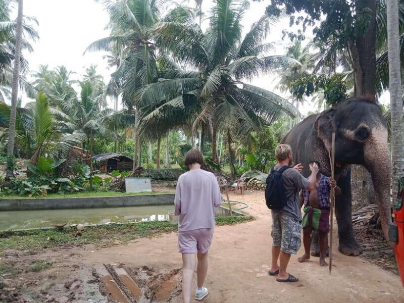 City Tour: Discover Aluthgama with Thrilling Adventures - Final Thoughts