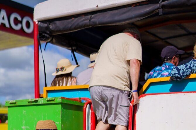 City Tour & Half-Day Safari Experiences - Pricing and Value Analysis