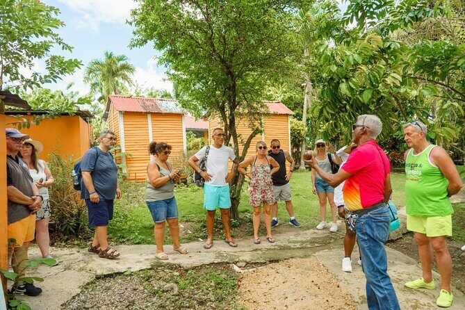 City Tour & Half-Day Safari Experiences - FAQs