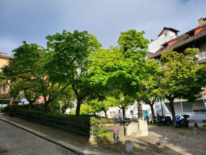 City Tour Historic Old Town Zurich - Reasons to Book the City Tour