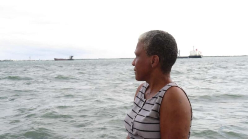 City Tour of Kingston Including Entry Fees - The Sum Up: Who’s This Tour For?