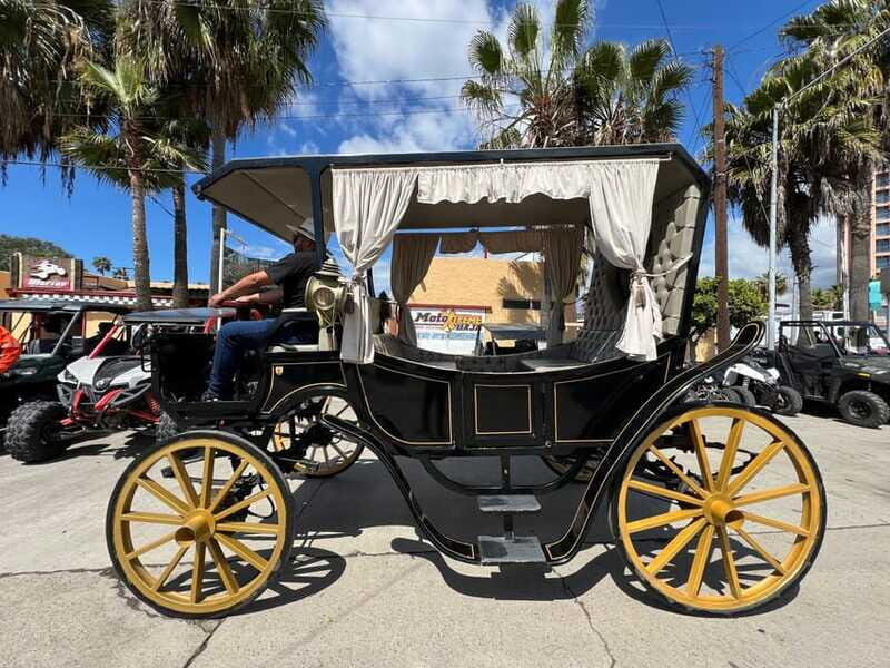 City tour on electric horse wagon. - The Experience’s Strengths and Limitations