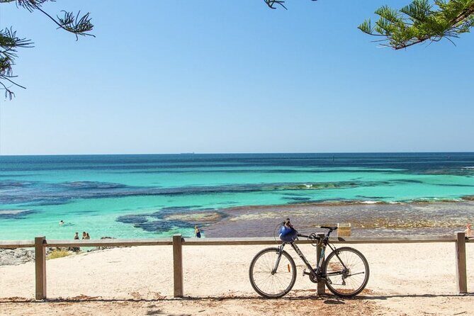 City Tour Perth and Fremantle and Rottnest Island and Swan River - Final Thoughts