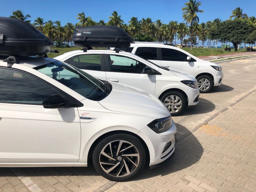 City Tour Recife With Catamaran Included - River Cruise Experience