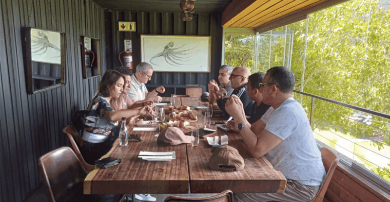 City Tour: Table Mountain, Kirstenbosch & Wine - Tour Highlights and Inclusions