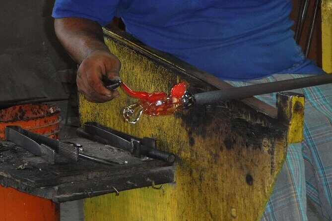 City tour, Tequila Tasting, Snorkeling Cruise and Lunch in Cabo San Lucas - Final Thoughts