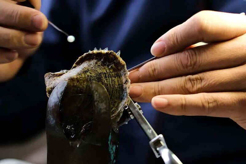 City Tour to Cabo San Lucas and Transparent boat to the Arch - The Sum Up