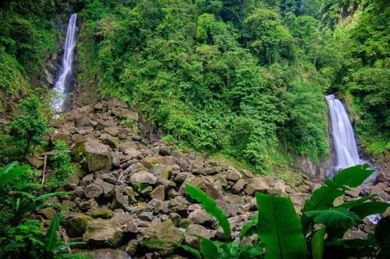 City Tour w/ Gardens, Volcano, Trafalgar Falls, Morne Bruce - Key Points