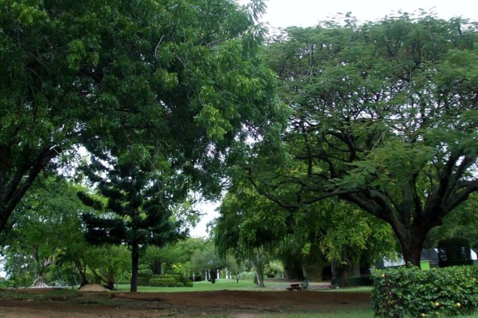 City Tour With Botanical Gardens, T Falls, & Morne Bruce - Botanic Gardens Experience