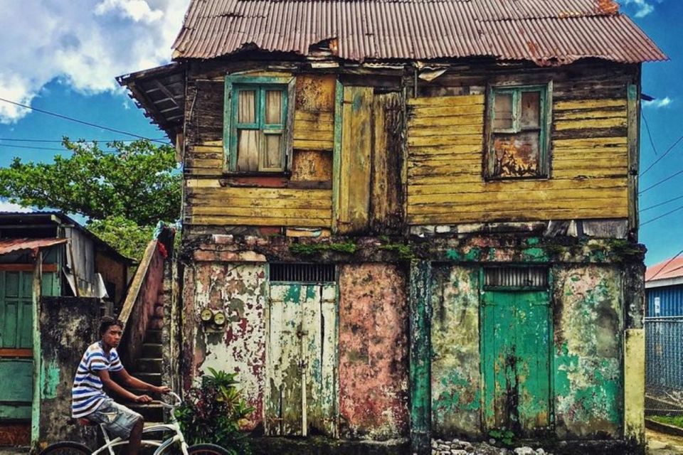 City Tour With Botanical Gardens, T Falls, & Morne Bruce - Panoramic Views From Morne Bruce