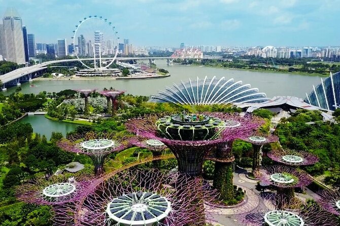 City Tour+Gardens by the Bay(CloudForest&Super Tree)Transfers - Meeting and Pickup Details