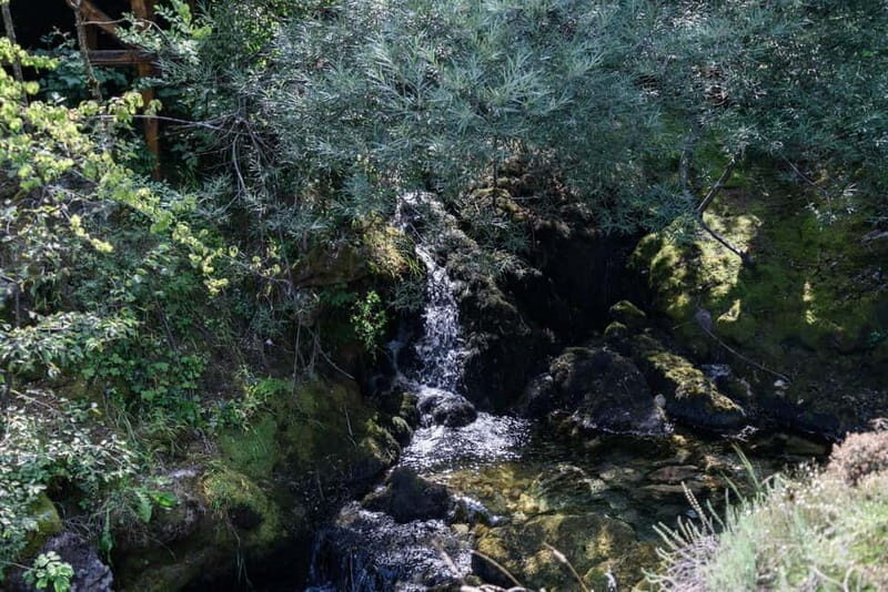 City Trip Struga and Vevchani from Ohrid and Struga - Who Will Enjoy This Tour?
