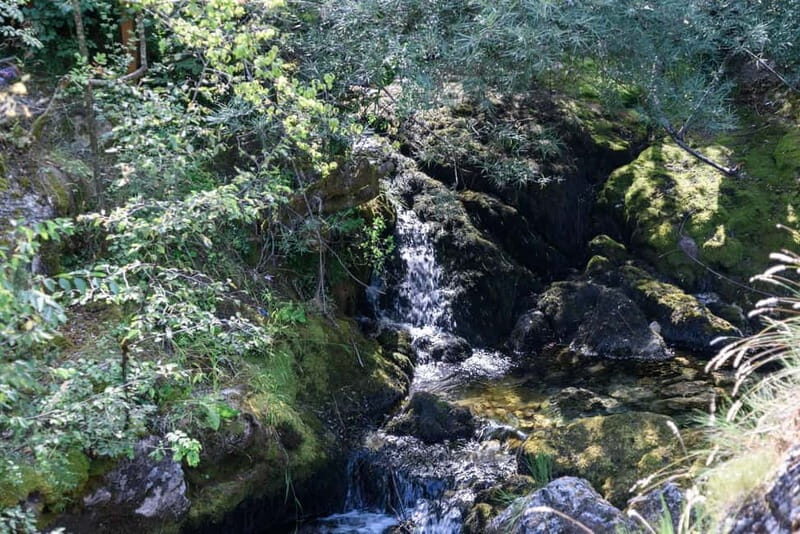 City Trip Struga and Vevchani from Ohrid and Struga - FAQ