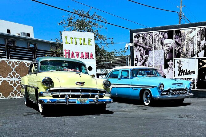 City Vibes & Bay Rides - Key Points