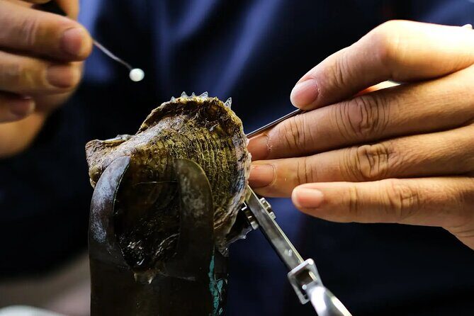 CityTour in Cabo San Lucas and Transparent Boat Tour to the Arch - Introduction: What This Tour Offers