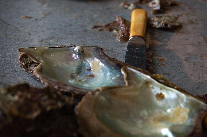 CityTour in Cabo San Lucas and Transparent Boat Tour to the Arch - Practicalities and Tips for Travelers