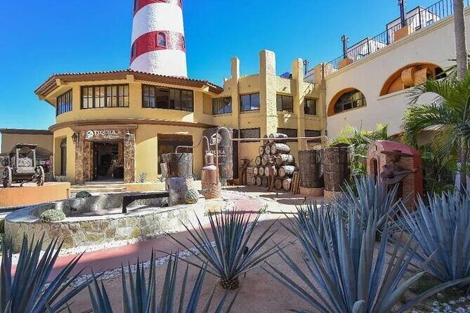 CityTour to San Jose, Cabo San Lucas and Arch Tour in Clearboat - Exploring the Highlights: What This Tour Offers