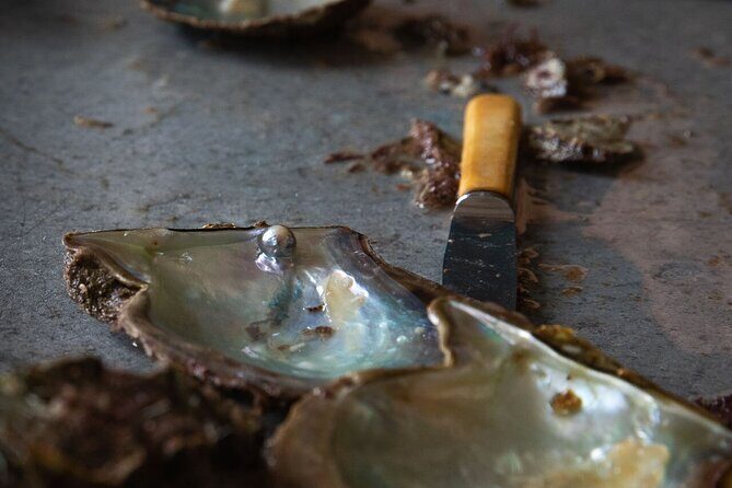 CityTour to San Jose, Cabo San Lucas and Arch Tour in Clearboat - Transportation, Timing, and Group Size