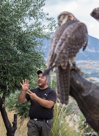 CIVITA EXPERIENCE Borgo Gole Mountain and ... RAPTORS of Pollino - Accessibility Features