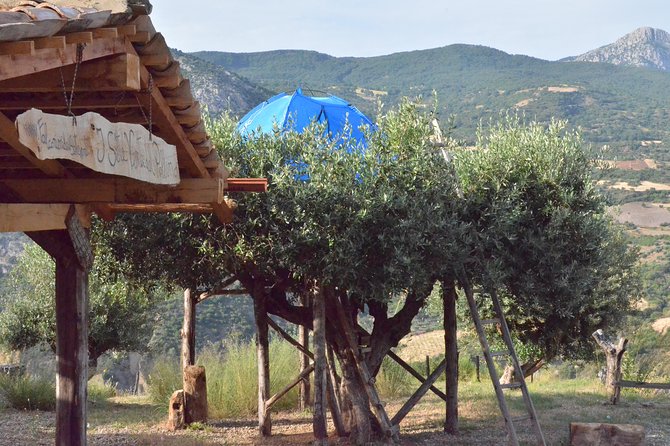 CIVITA EXPERIENCE Borgo Gole Mountain and ... RAPTORS of Pollino - Booking Information
