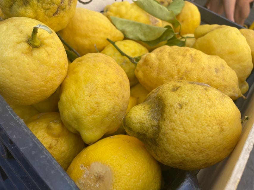 Civitavecchia: Market Tour and Cooking Class with Lunch - Key Points