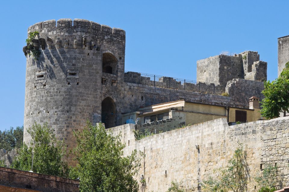 Civitavecchia Port: Tarquinia and Etruscan Ancient City Tour - Departure and Transfer