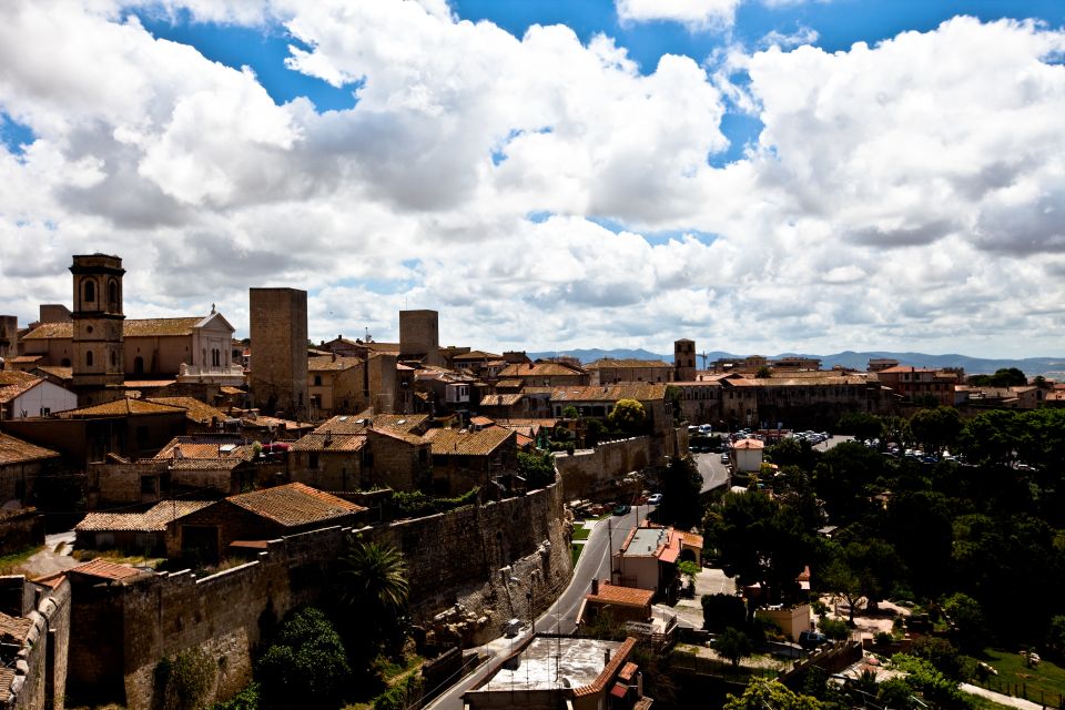 Civitavecchia Port: Tarquinia and Etruscan Ancient City Tour - Inclusions and Exclusions