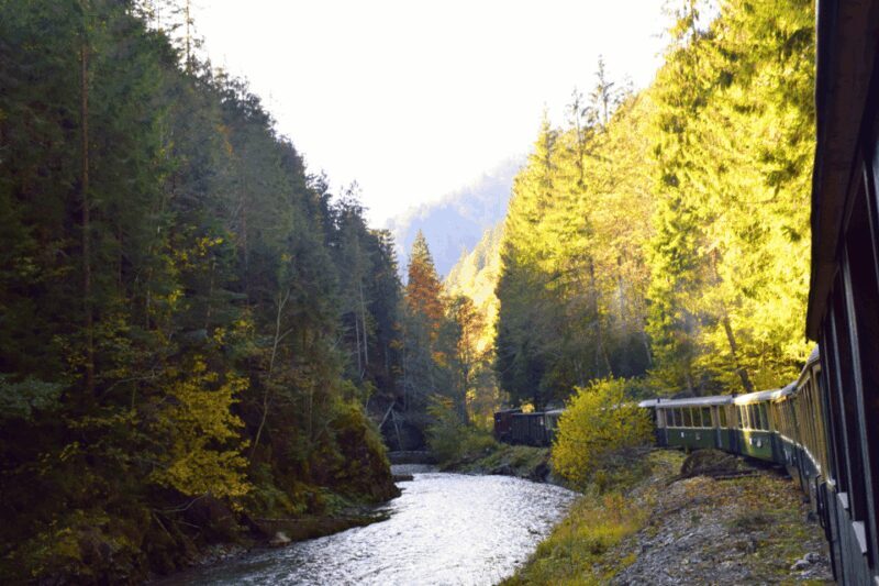 CJ03 - Day trip to Maramures Mocanita Train from Cluj Napoca - An In-Depth Look at the Tour