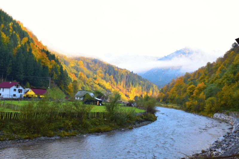 CJ03 - Day trip to Maramures Mocanita Train from Cluj Napoca - Who Should Consider This Tour?