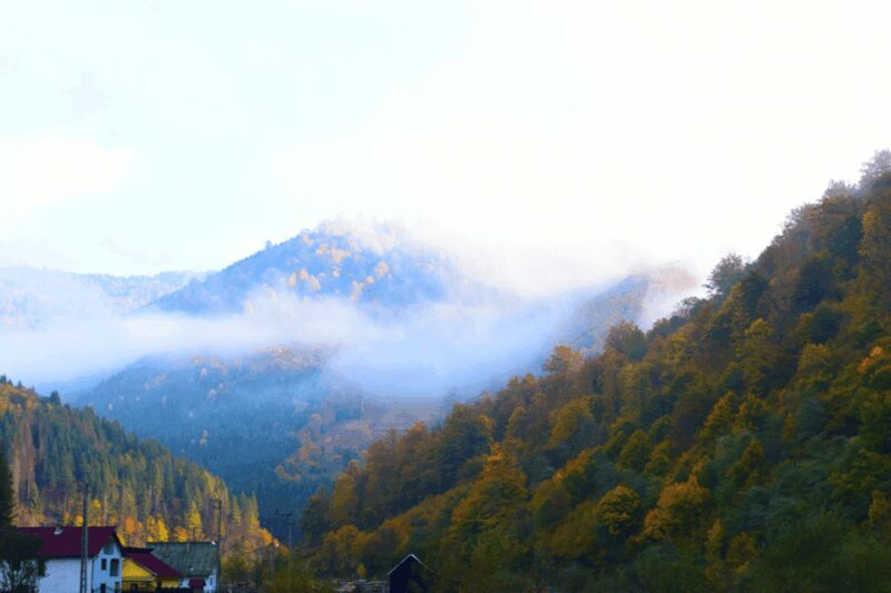 CJ03 - Day trip to Maramures Mocanita Train from Cluj Napoca - The Sum Up