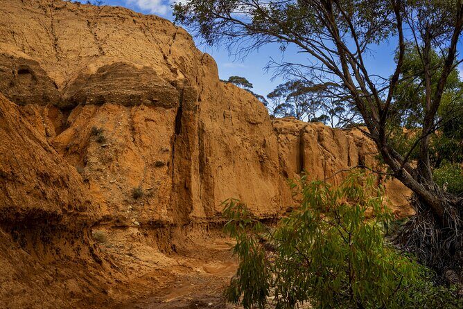Clare Valley to Red Banks History and Landscape Day Tour - An Overview of the Tour Experience