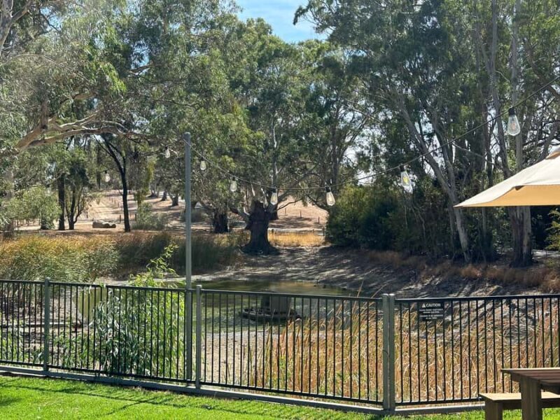 Clare Valley Uncorked: Full-Day Wine Adventure - Who Should Consider This Tour?