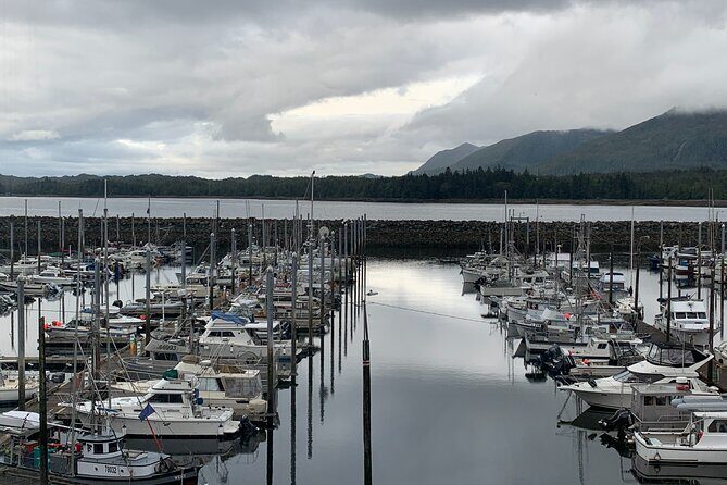 Clarke's Custom Island Tour (up to 11 guests) - Pricing and Value