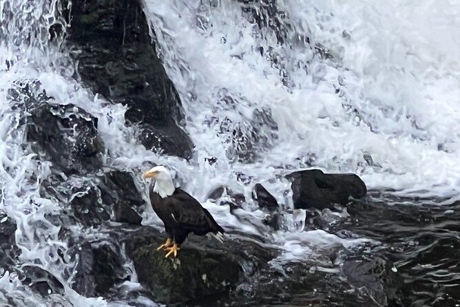 Clarke's Custom Island Tour (up to 11 guests) - Who Should Consider This Tour?