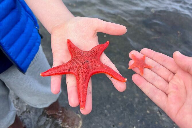 Clarke's Custom Island Tour (up to 11 guests) - Final Thoughts