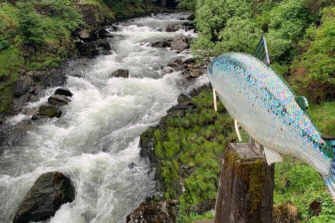 Clarke's Custom Island Tour (up to 11 guests) - Frequently Asked Questions