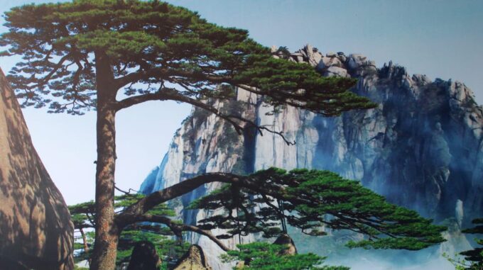 Classic 2 Day Huangshan Tour - Booking Requirements