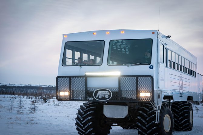 Classic 5 Night Churchill Polar Bear Adventure - Wildlife Viewing Experiences