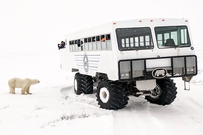 Classic 5 Night Churchill Polar Bear Adventure - Guest Reviews and Feedback